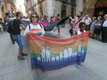 Manifestació del 28J a Tortosa, per l'alliberament lèsbic, gai, bi, trans i intersex