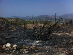 Incendi de Serelles a la Serra de Mariola