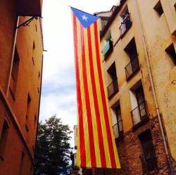 Imatge de l'estelada que inicialment s'havia de penjar al castell de Falset