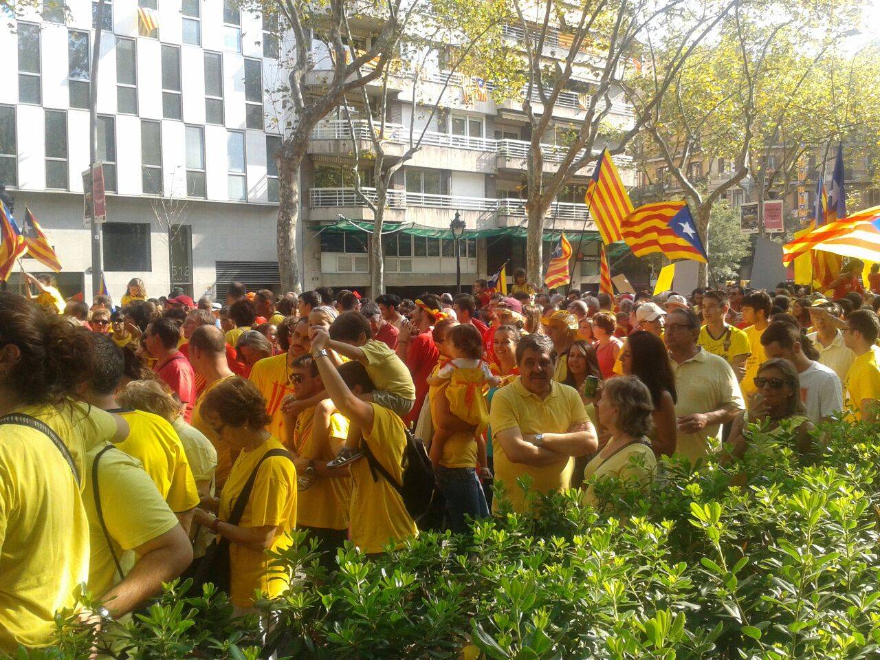 Tram 51 de la Via Catalana 2014