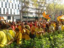 Tram 51 de la Via Catalana 2014