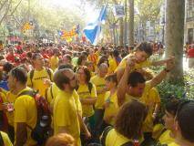 Tram 51 de la Via Catalana 2014