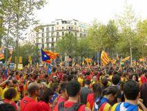 Trams del 49 al 53 de la Via Catalana 2014