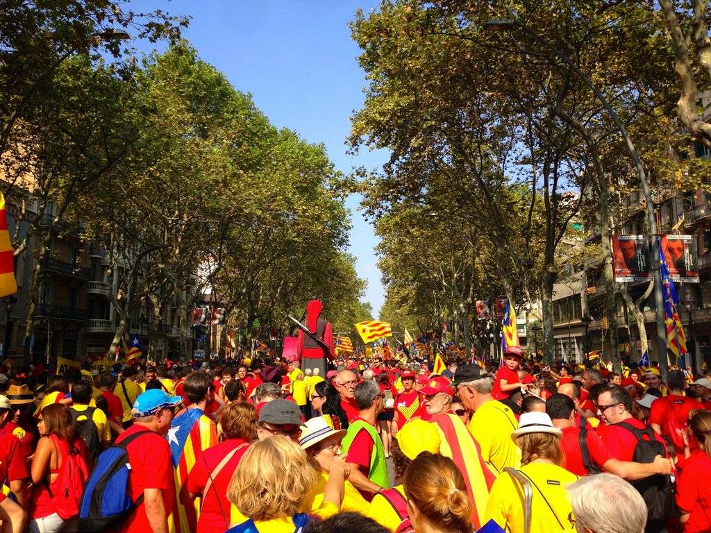 Trams del 49 al 53 de la Via Catalana 2014