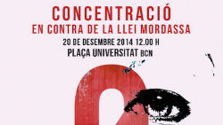 Manifestacions contra la "llei Mordassa"