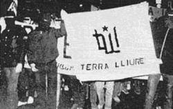 Manifestant amb una pancarta de suport a Terra Lliure durant la manifestació de La Crida