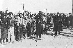 Imatge parcial del camp de concentració d'Argelers (1939)