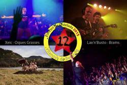 El 12è Concert de l'Estelada reuneix Lax'n'Busto, Brams, Xeic! I Oques Grasses