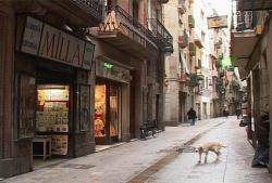 Llibreria Millà al carrer de Sant Pau FOTO: BTV