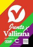 Junts per Vallirana (Baix Llobregat)