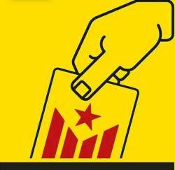 La CUP preocupada per les declaracions d'Oriol Amat (Junts pel Sí) a una possible sortida estatutària