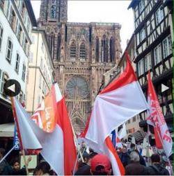 Estrasburg aplega un miler de persones en defensa de l'Alsàcia