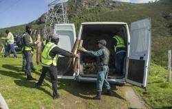 Guàrdies civils requisant estaques per aguantar planter de roures (IMATGE: Naiz/Gorka Rubio/ARGAZKI PRESS) 