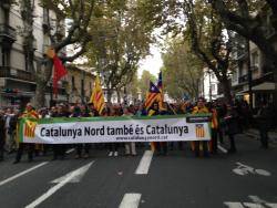 Milers de persones a Perpinyà reivindiquen un estatut per a Catalunya Nord a la cloenda del Correllengua 2015