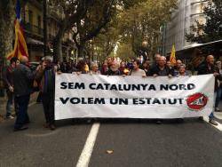 Milers de persones a Perpinyà reivindiquen un estatut per a Catalunya Nord a la cloenda del Correllengua 2015