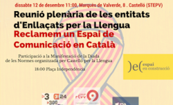 Castelló aplega la reunió plenària d'Enllaçats per la Llengua sota l'horitzó d'un espai audiovisual comú