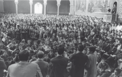 L'Assemblea lliure d'estudiants