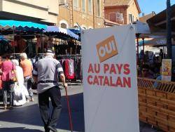 L'opció Occitanie-Pays-Catalan ha quedat en quart lloc amb un 12,15%