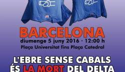 Manifestació a Barcelona: 'L?Ebre sense cabals és la mort del Delta'