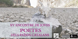 Commemoració de la Diada de Formentera
