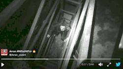 El toro d?Osborne de Tavernes de Valldigna, tombat en una acci&oacute; d'Arran