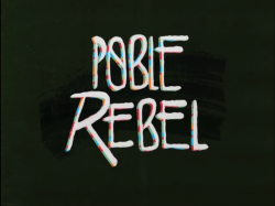 "Poble Rebel" un documental sobre la dissidència a Catalunya des del 1974 fins a l'actualitat