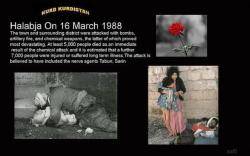  1988- Atac químic a Halabja (Kurdistan)