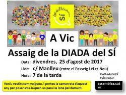 L'ANC Vic organitza un assaig de l'Onze de Setembre