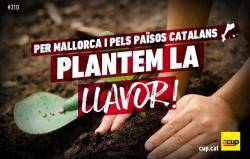 Per Mallorca i pels Països Catalans. Plantem la llavor!