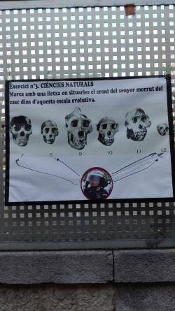 Un dels plafons penjats avui a l'Escola Verd de Girona (Imatge: Llibertat.cat)