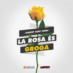 Òminum Cultural promociona la rosa groga per aquest proper Sant Jordi