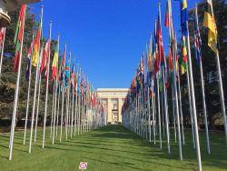 Consell de Drets Humans de l'ONU