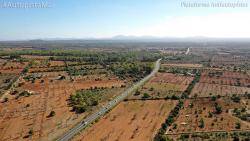 La Plataforma Antiautopista documenta amb imatges aèries el traçat i l'entorn de la futura autopista Llucmajor-Campos.