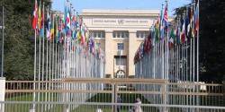 Comitè de Drets Humans de les Nacions Unides