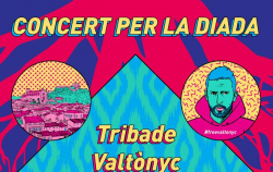 Concert solidari al final de la manifestació de la Diada