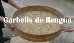 La CAL presenta el projecte Garbells de llengua per millorar l'ús oral del català