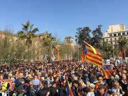 La vaga del 21F omple els carrers i buida els centres de treballs i les aules