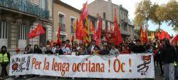 El CAOC se suma a la manifestació en defensa de l?ensenyament en occità de Tolosa