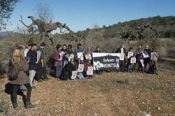 Campanya de micromecenatge per fer possible el conte il·lustrat "Arrelades", per salvar les oliveres monumentals del Montsià