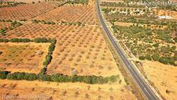 La sinistralitat a l'autopista de Llucmajor a Palma triplica la de la carretera Llucmajor-Campos