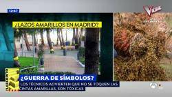 Retiren llaços grocs en un barri de Madrid que van resultar ser cintes contra una plaga d'erugues