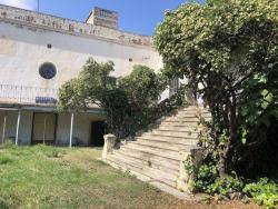 La CUP Sant Sadurní proposa convertir Can Guineu en un gran centre de l'Art i de la Cultura