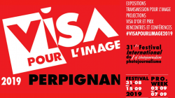 Les armilles grogues presents a la 31a edició del Festival de fotoperiodisme Visa Per la imatge de Perpinyà
