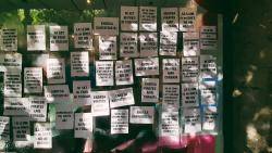 La CUP fa una acci&oacute; a la seu d?ENDESA a Tarragona