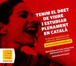La majoria d'universitats no ofereixen ni la meitat de les hores de docència del Grau de Dret en català