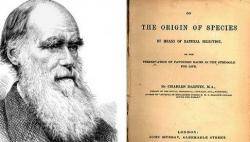 1859 Charles Darwin publica "L'origen de les espècies"