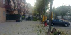 La CUP Molins de Rei reclama la municipalització del servei de Jardineria