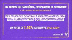 L'Hora Violeta i Endavant Baix Camp impulsen la campanya "Campanya: En temps de pandèmia, propaguem el feminisme"