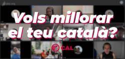 La CAL obre la via de les plataformes de videoconferència als seus grups de conversa en català