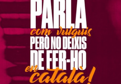 "Els propers 20 anys seran cabdals per determinar el futur de la llengua catalana"